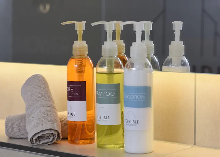 Готель Scheuble Цюрих