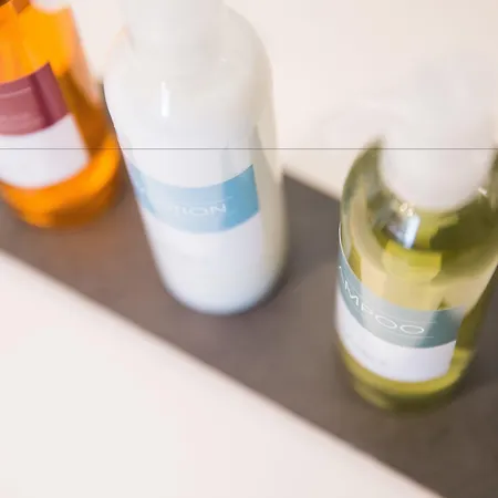 Scheuble Szálloda Zürich