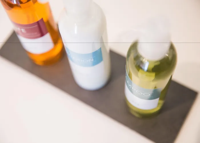 Scheuble מלון ציריך